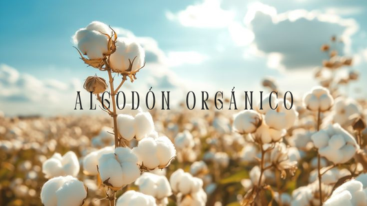 Algodón orgánico para bebés: por qué importa y cómo identificarlo